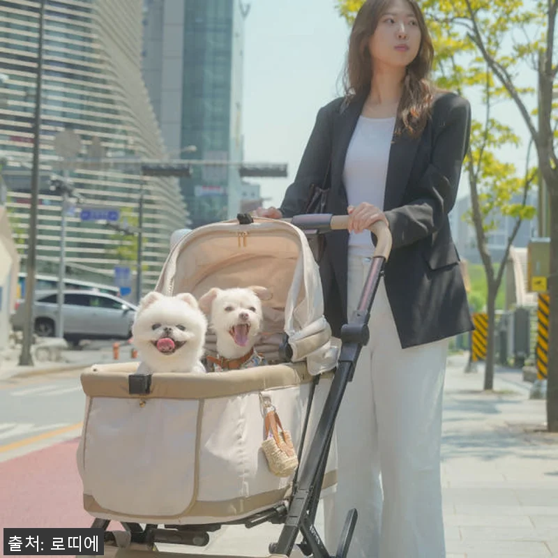 로띠에 노블레스돔에어 일체형 돔A 강 관련 이미지 2