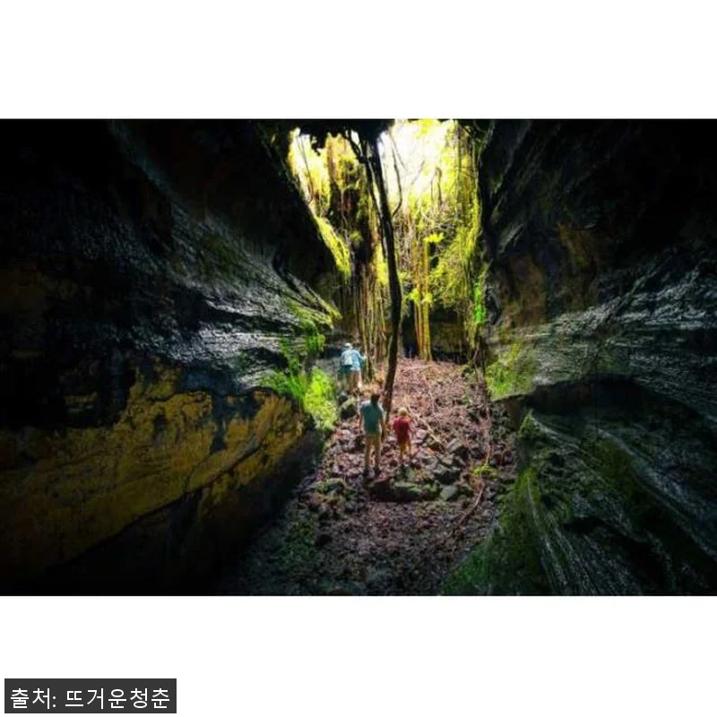 미국 하와이 빅아일랜드 코나와 와이콜 관련 이미지 2