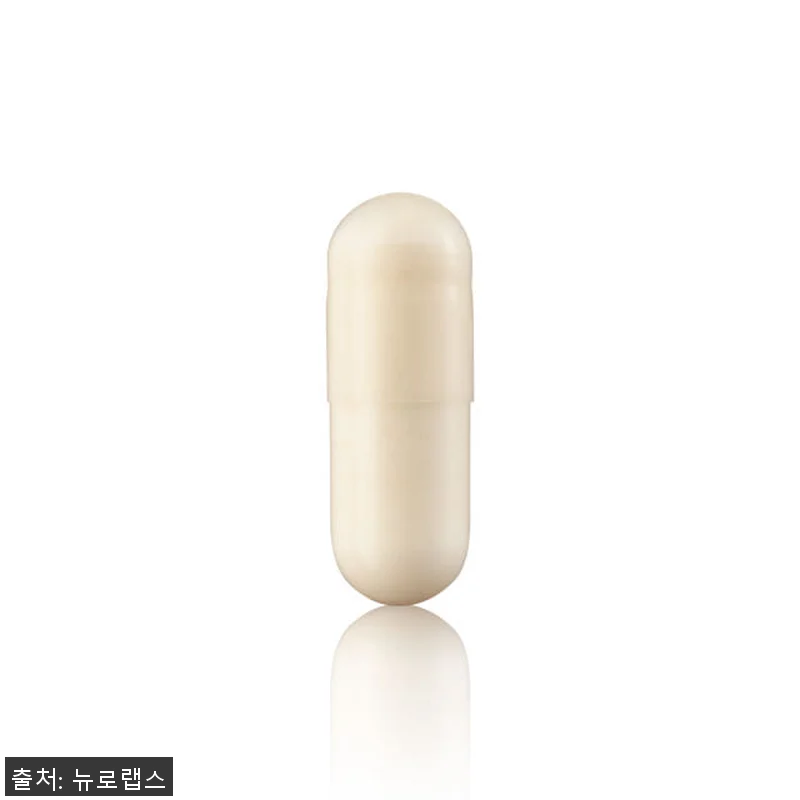 뉴로랩스 덴마크 유산균 LGG 유아블 관련 이미지 2