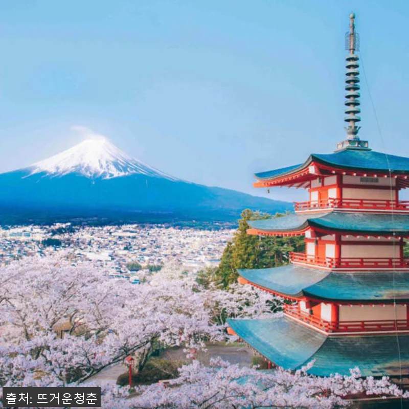 일본 프라이빗 데이 투어 도쿄/산 후 관련 이미지 2