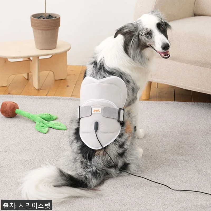 시리어스펫 슬개골 따땃패드 사용후기: 관련 이미지 3