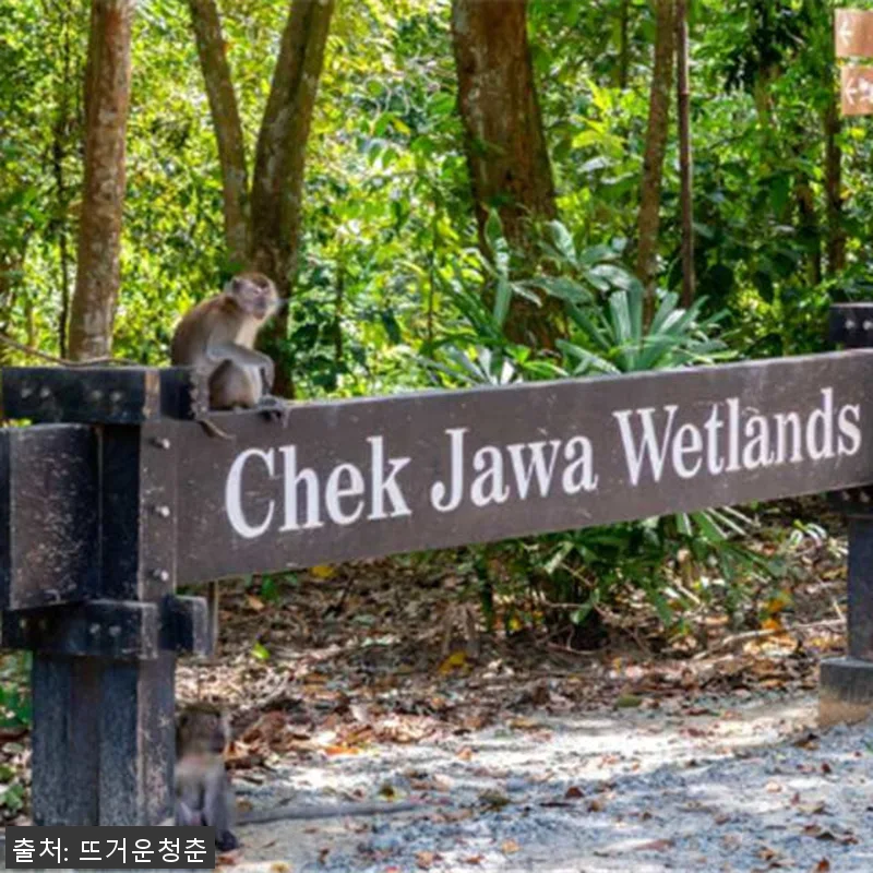 싱가포르 왕복 교통편 포함 투어: 풀 관련 이미지 3