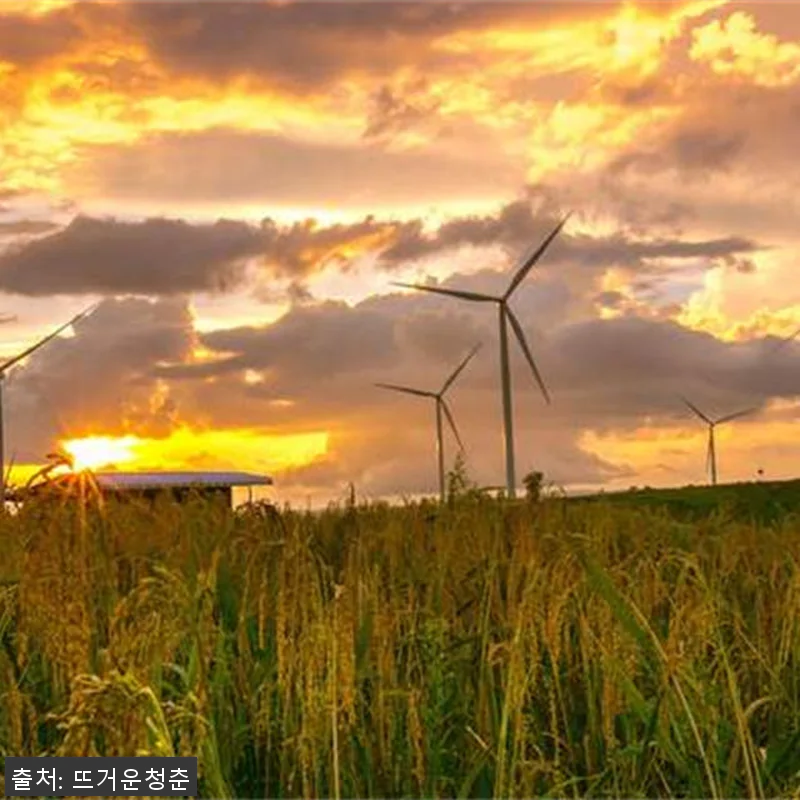 태국 카오코 4박 5일 프라이빗 차량 관련 이미지 3