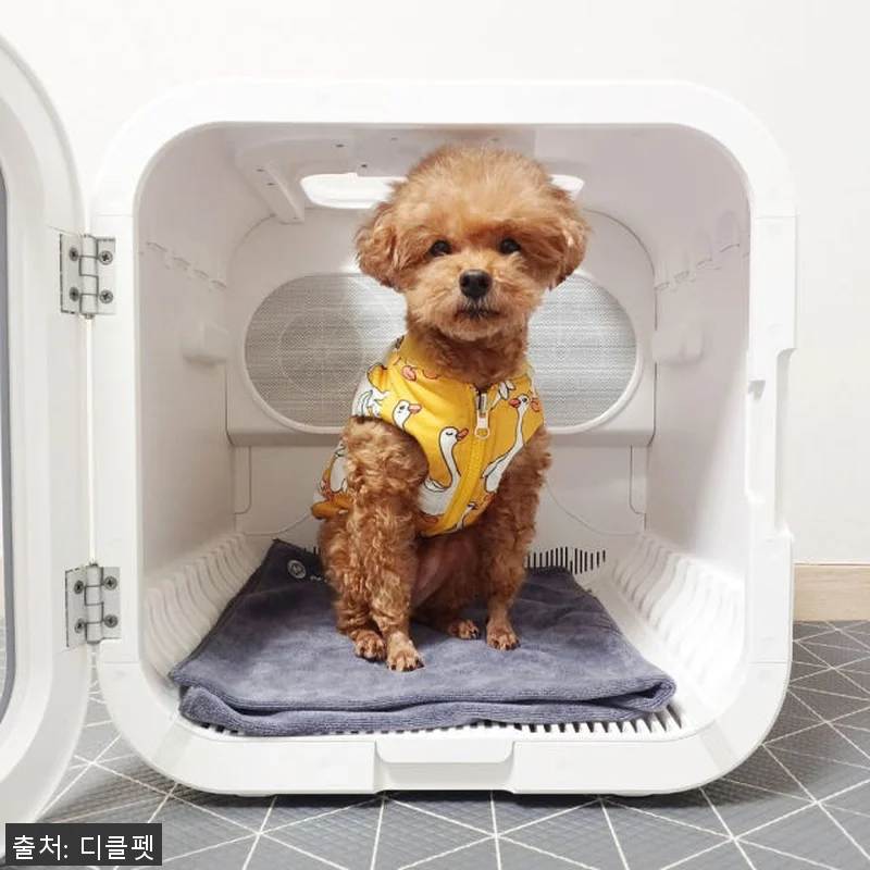 디클펫 펫드라이룸 듀얼팬 빠른건조 러브에어 프로 사용후기 13 디클펫 펫드라이룸 듀얼팬 빠른건조 러 관련 이미지 2