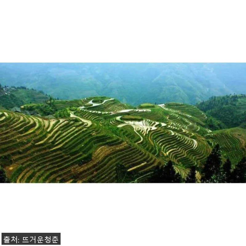 롱셩 드래곤의 백본 계단식 논, 직접 관련 이미지 3