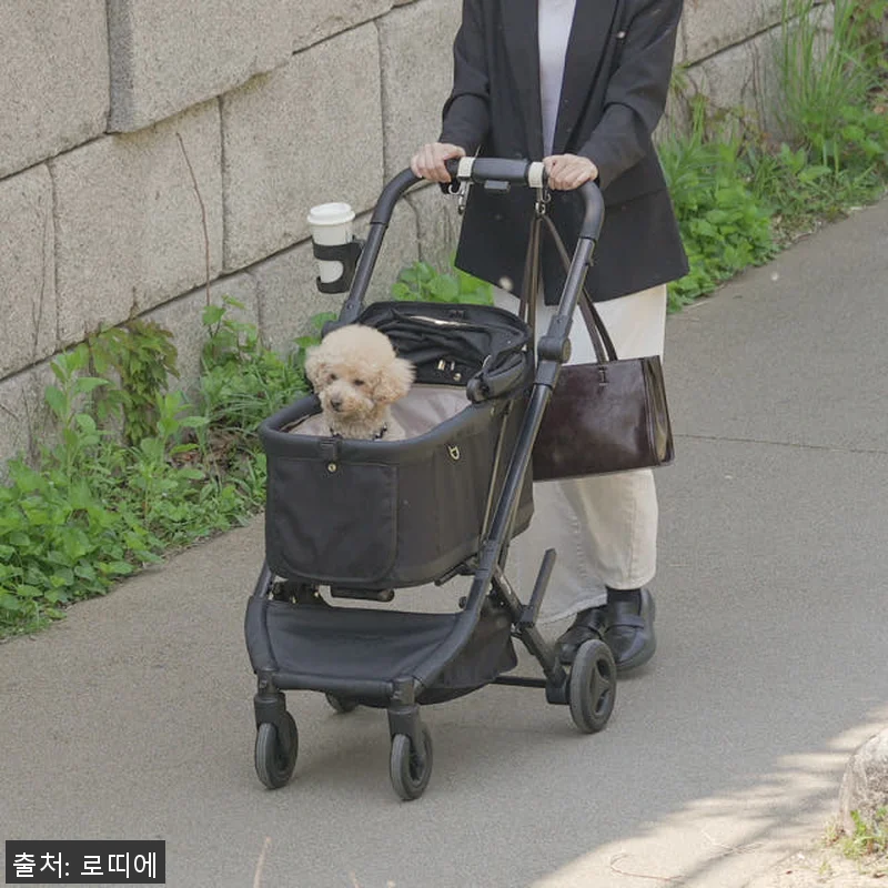 로띠에 노블레스돔에어 일체형 돔A 강 관련 이미지 3