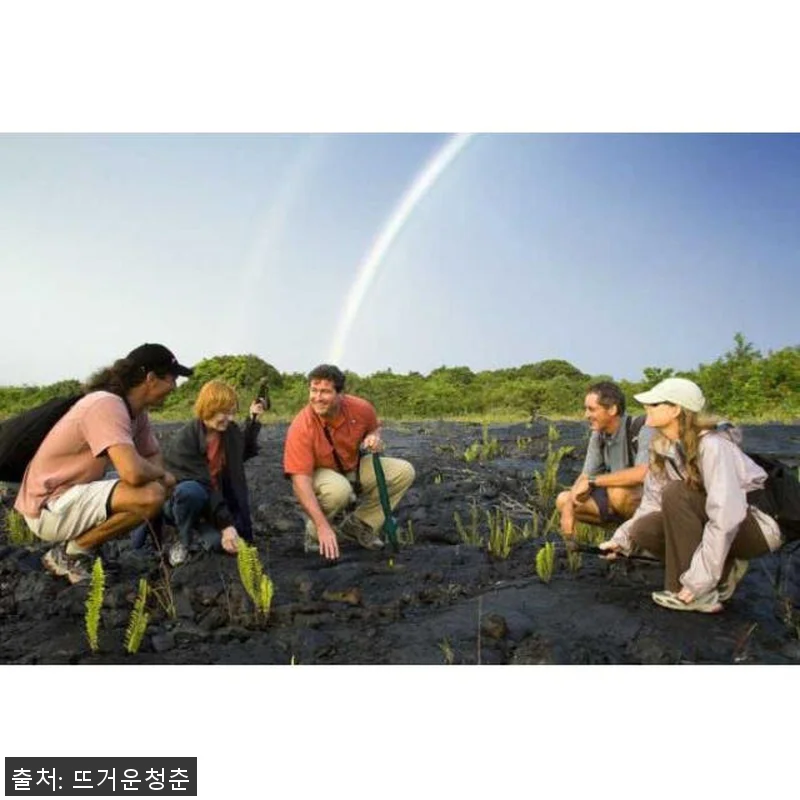 미국 하와이 빅아일랜드 코나와 와이콜 관련 이미지 3