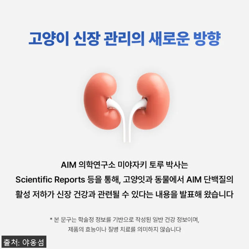 야옹섬 고양이 영양제 신장 AIM 닥 관련 이미지 2