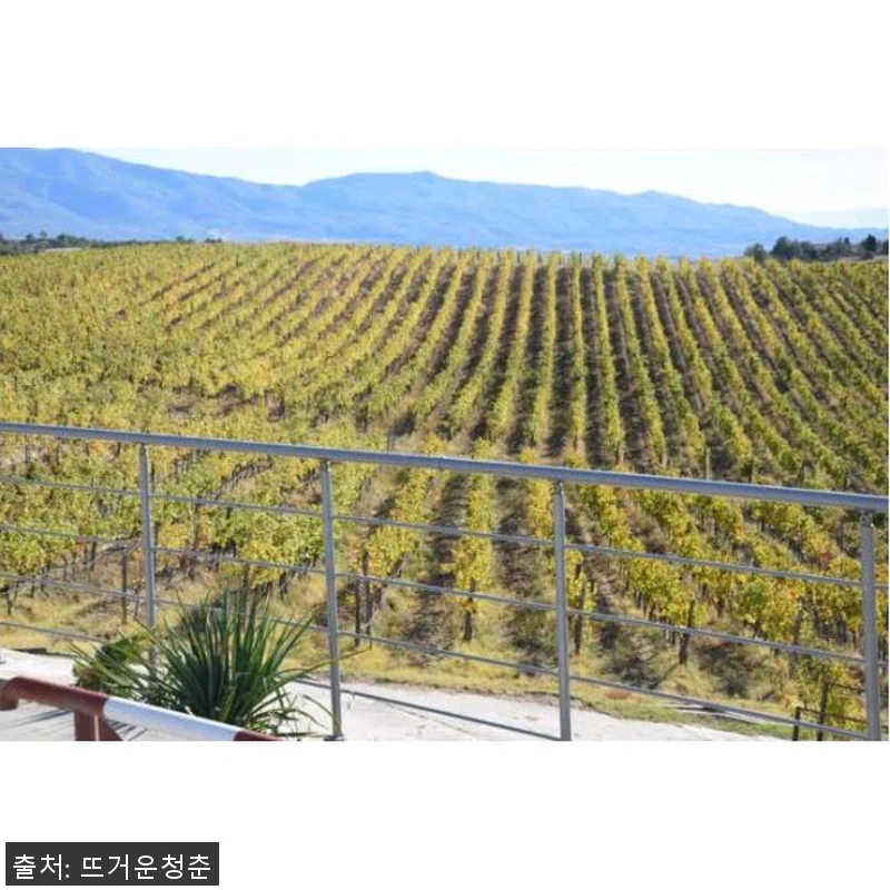 불가리아 멜닉 와인 투어 사용후기: 관련 이미지 3