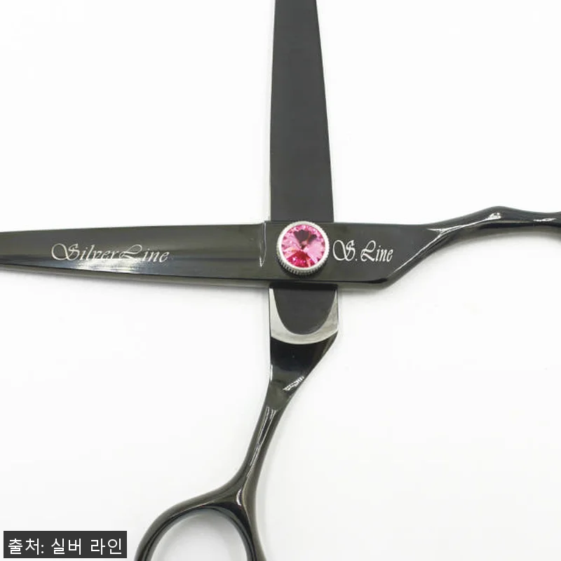 실버라인펫 BS 강아지 미용 블랙 민 관련 이미지 3