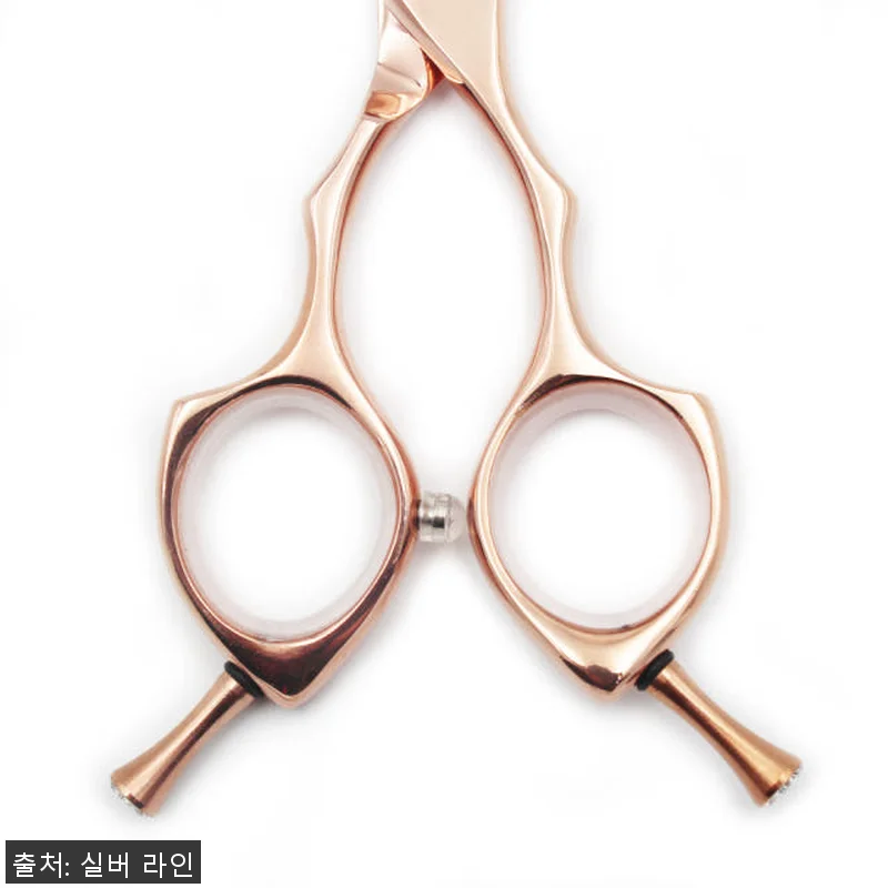 실버라인펫 ERAD 강아지 애견 미용 관련 이미지 3