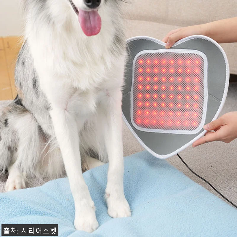 시리어스펫 슬개골 따땃패드 사용후기: 관련 이미지 4