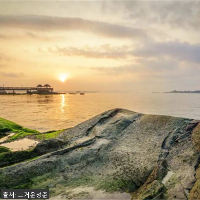 싱가포르 왕복 교통편 포함 투어: 풀 관련 이미지 4