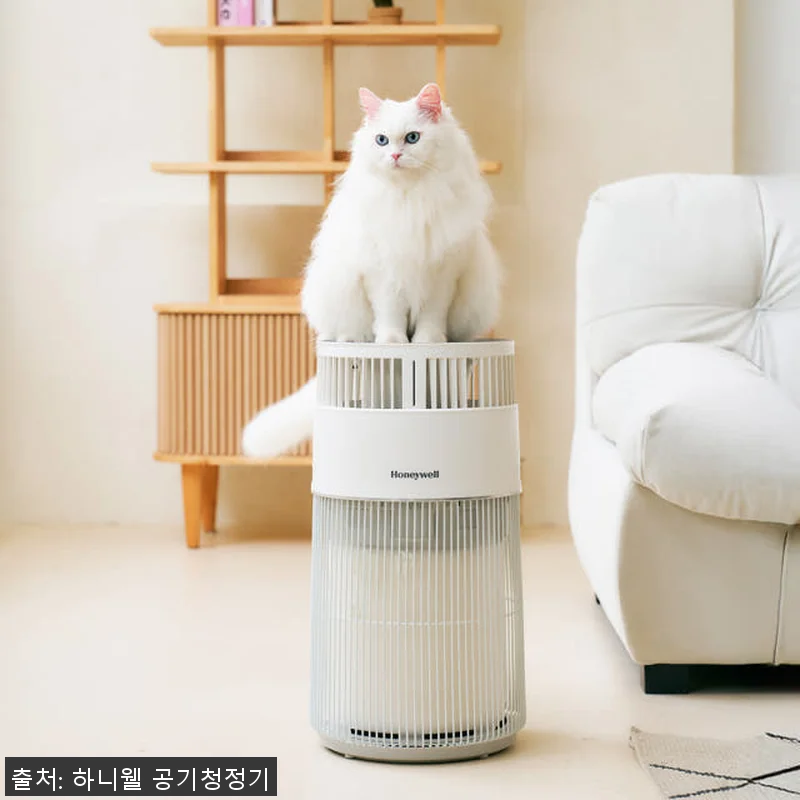 하니웰 펫 공기청정기 사용후기: 고양 관련 이미지 3