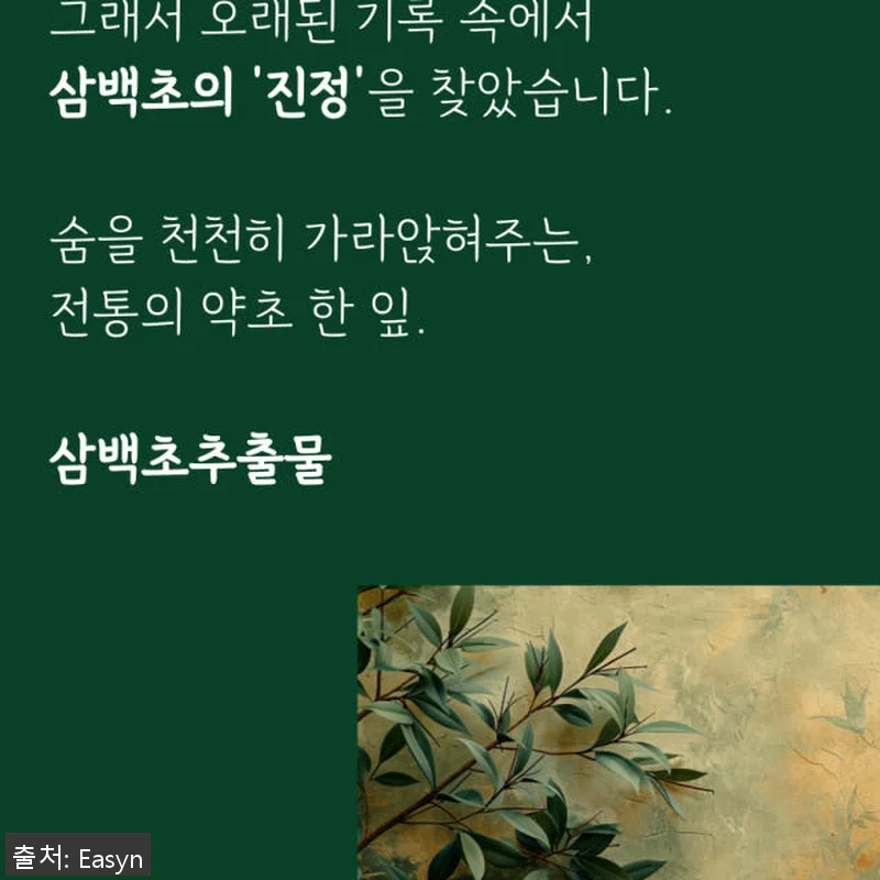 청기린 삼백초추출물 브로멜라인 TF3 관련 이미지 4