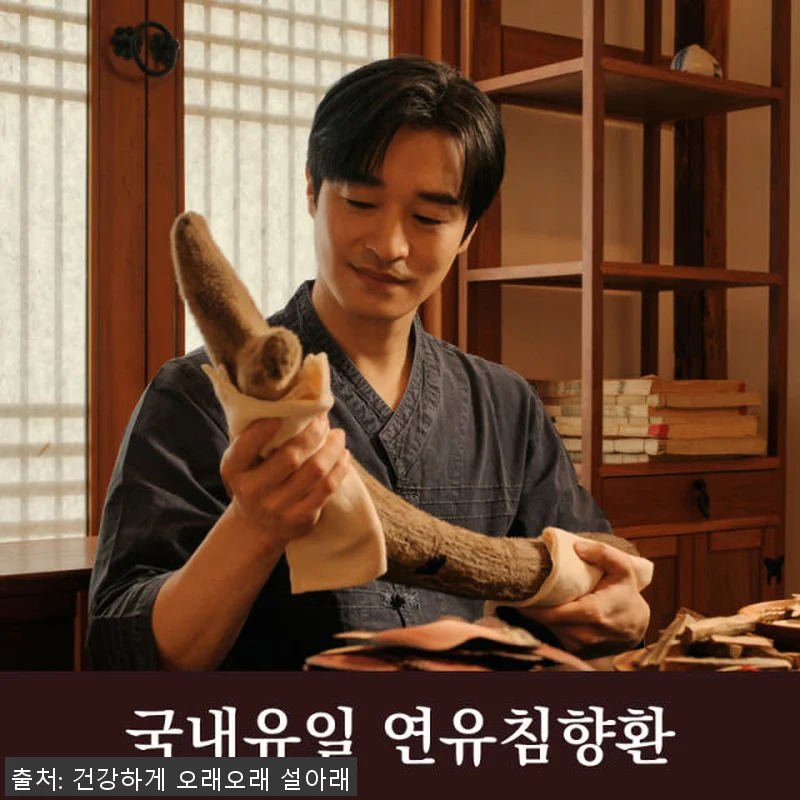 설아래 연유 침향환 25% 녹용 30 관련 이미지 4