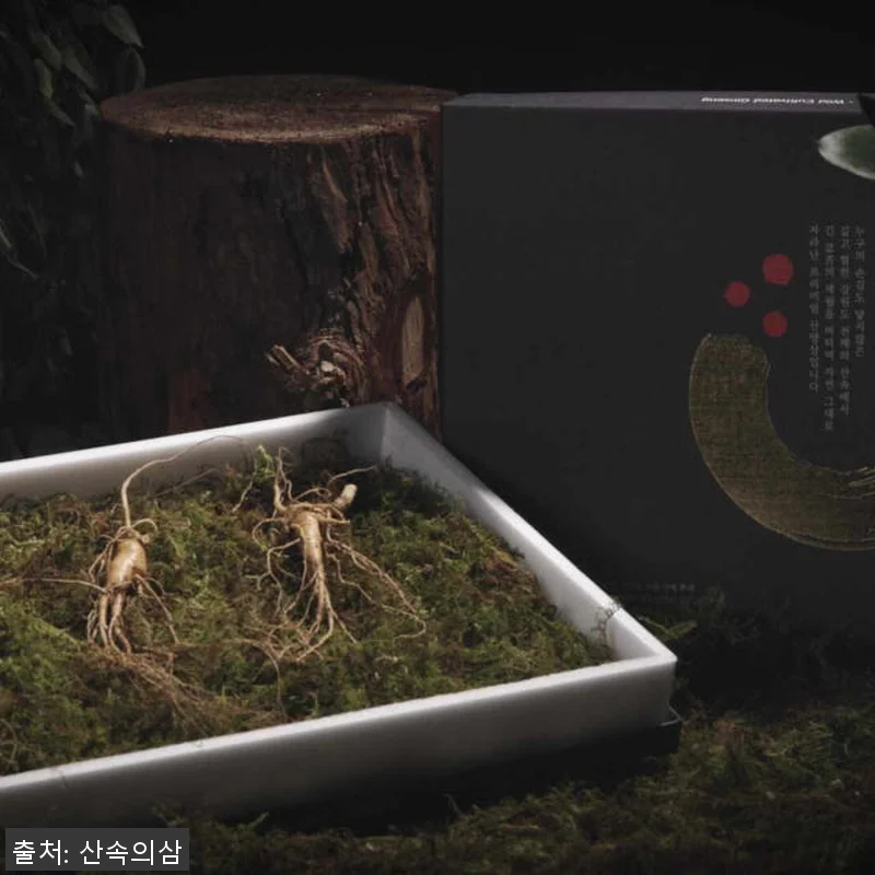 프리미엄 산속의삼 6년근 산양삼 7뿌 관련 이미지 4