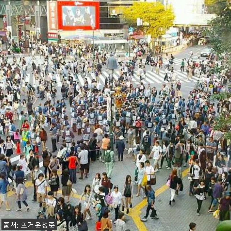 일본 도쿄 도보여행 프라이빗 투어, 관련 이미지 4