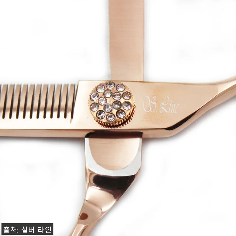 실버라인펫 ERAD 강아지 애견 미용 관련 이미지 4