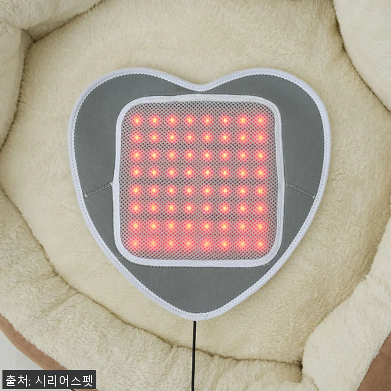 시리어스펫 슬개골 따땃패드 사용후기: 관련 이미지 5