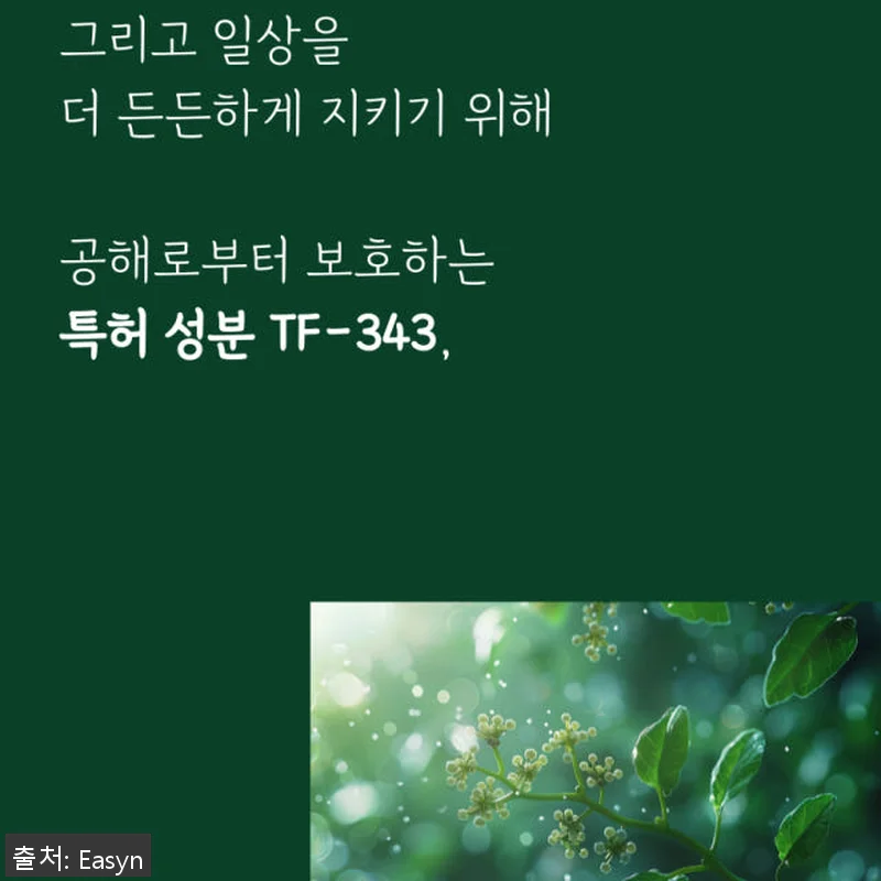 청기린 삼백초추출물 브로멜라인 TF3 관련 이미지 5
