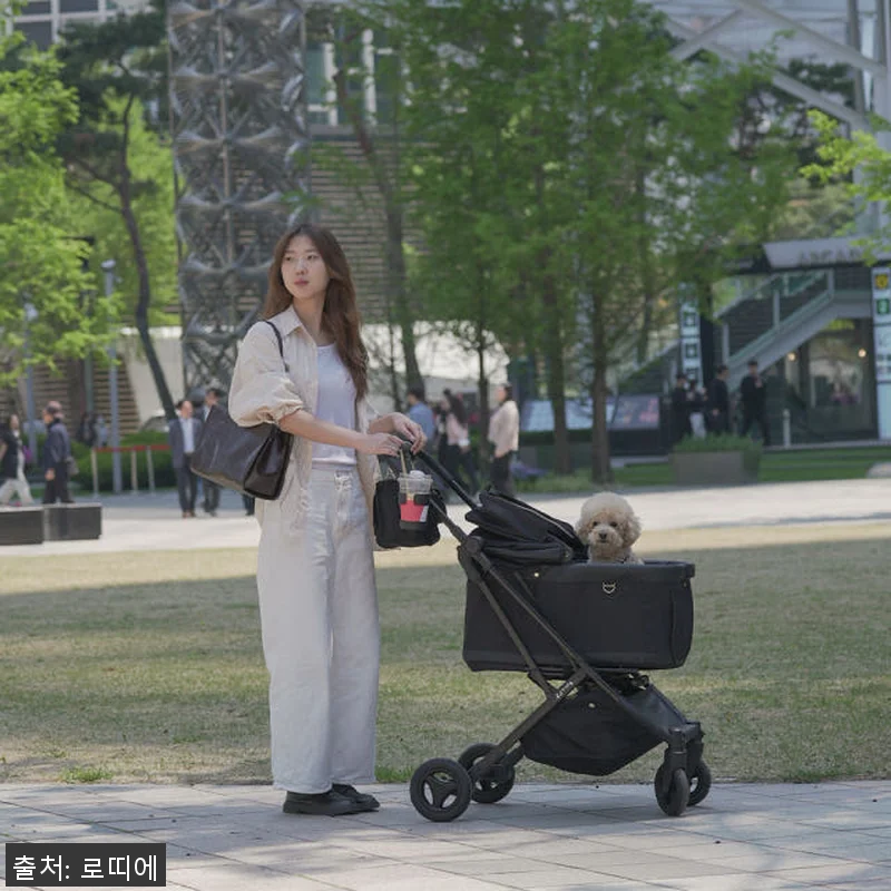 로띠에 노블레스돔에어 일체형 돔A 강 관련 이미지 5