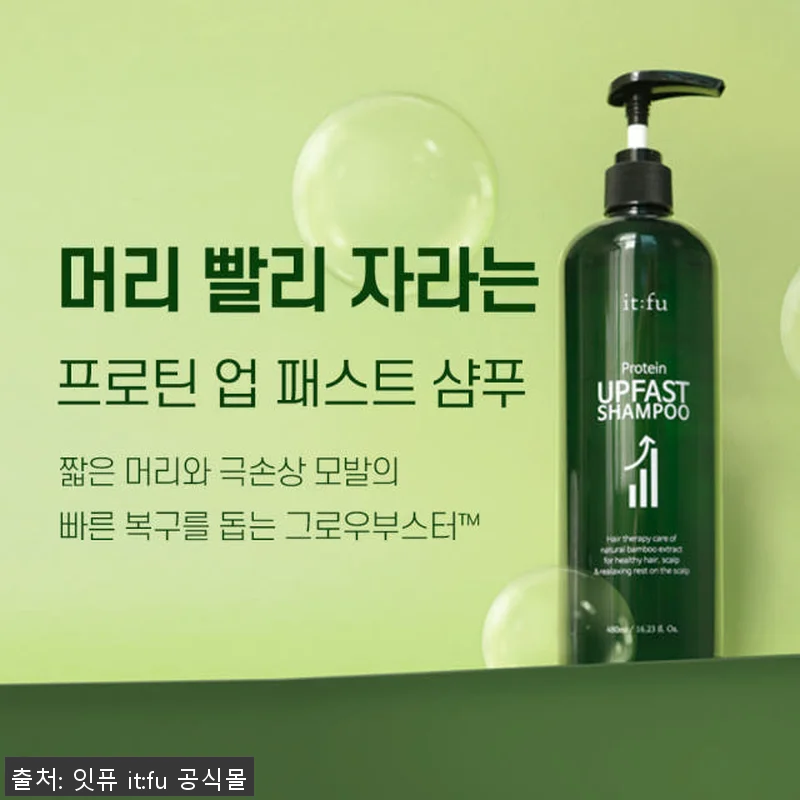 잇퓨 패스트 샴푸 480ml 2개 사 관련 이미지 5