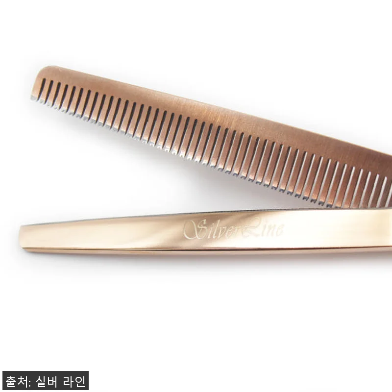 실버라인펫 ERAD 강아지 애견 미용 관련 이미지 5