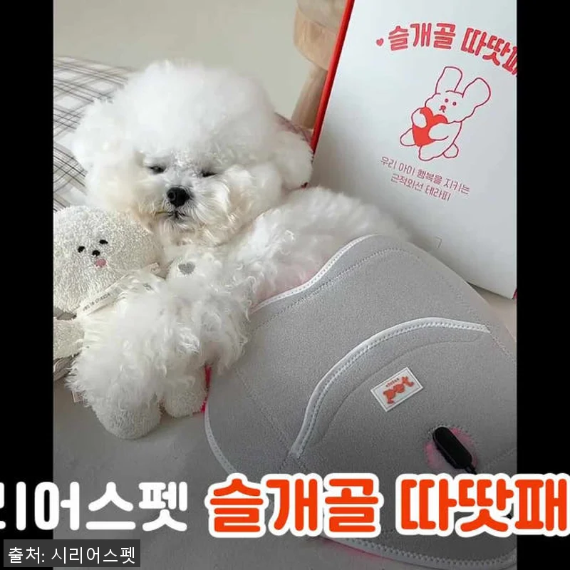 시리어스펫 슬개골 따땃패드 사용후기: 관련 이미지 6