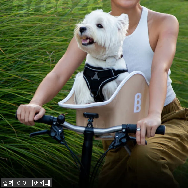 브룩앤브리즈 댕댕라이더 강아지 자전거 관련 이미지 7