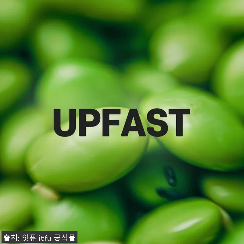 잇퓨 패스트 샴푸 480ml 2개 사 관련 이미지 7