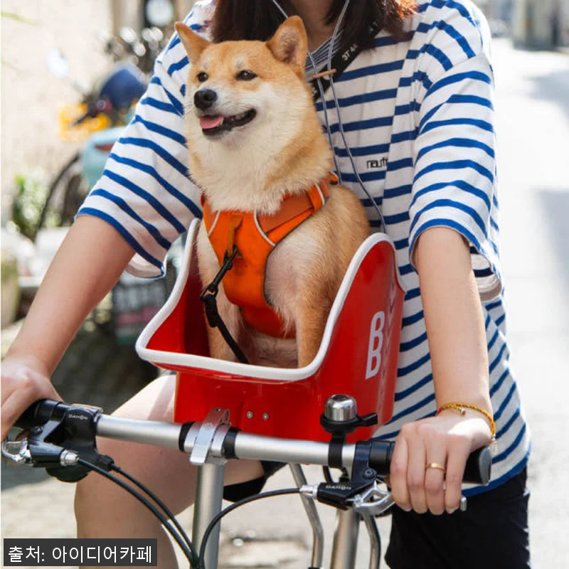 브룩앤브리즈 댕댕라이더 강아지 자전거 관련 이미지 8