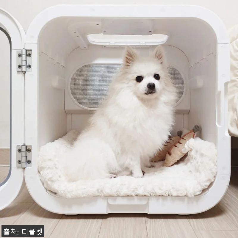 디클펫 펫드라이룸 듀얼팬 빠른건조 러브에어 프로 사용후기 18 디클펫 펫드라이룸 듀얼팬 빠른건조 러 관련 이미지 7