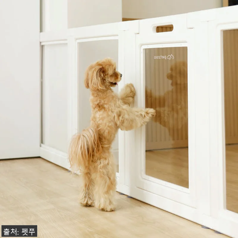 펫쭈 확장형 펫룸 투명 강아지 울타리 관련 이미지 8