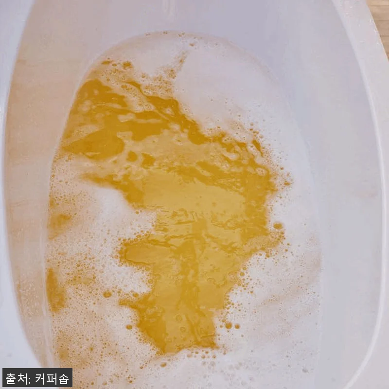 커퍼솝 피스 마인드 케어 해당화 열매 관련 이미지 9