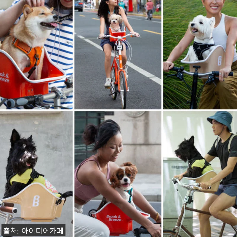 브룩앤브리즈 댕댕라이더 강아지 자전거 관련 이미지 9