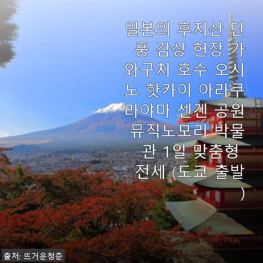 후지산 단풍 감상 1일 맞춤형 전세 투어 사용 후기 – 도쿄 출발로 완벽한 가을 여행