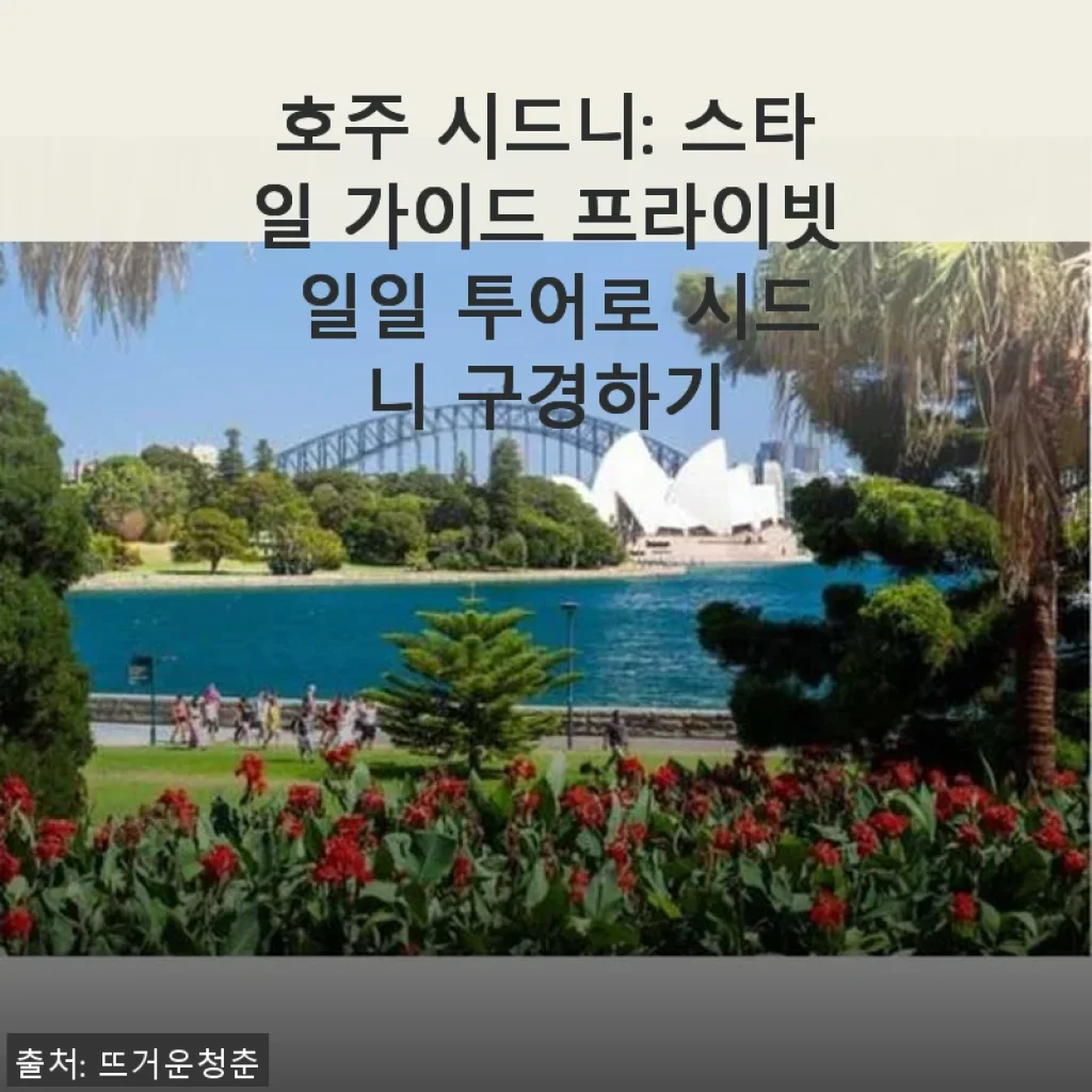 호주 시드니: 스타일 가이드 프라이빗 일일 투어 사용후기