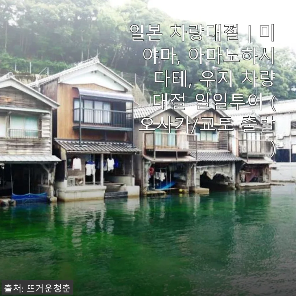 일본 차량대절｜미야마, 아마노하시다테, 우지 차량대절 일일투어 사용후기