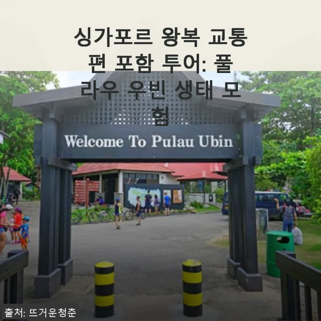 싱가포르 왕복 교통편 포함 투어: 풀라우 우빈 생태 모험 사용후기