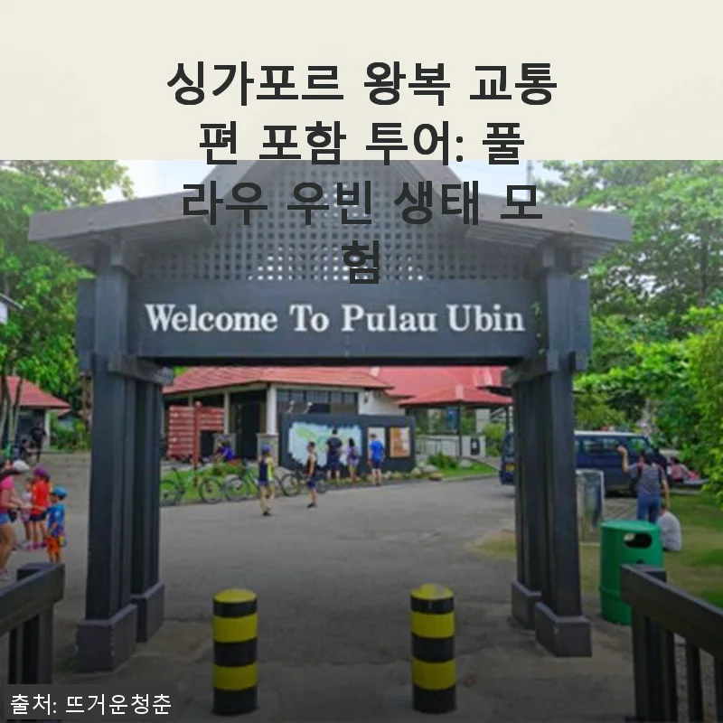싱가포르 왕복 교통편 포함 투어: 풀라우 우빈 생태 모험 사용후기