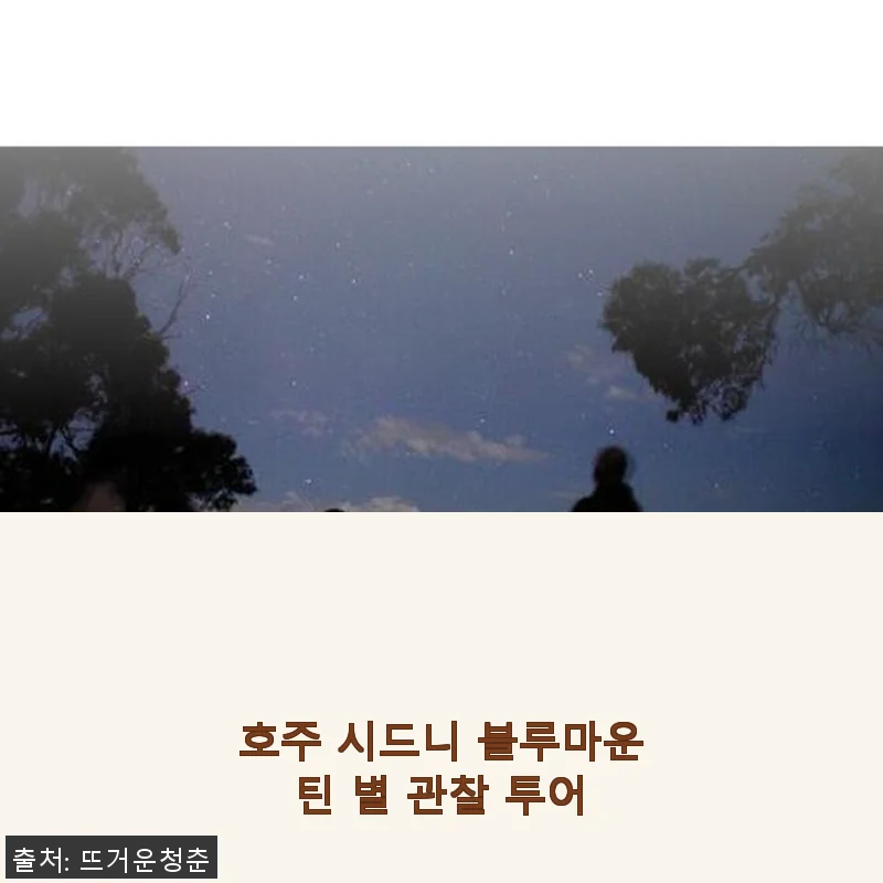 호주 시드니 블루마운틴 별 관찰 투어 사용후기