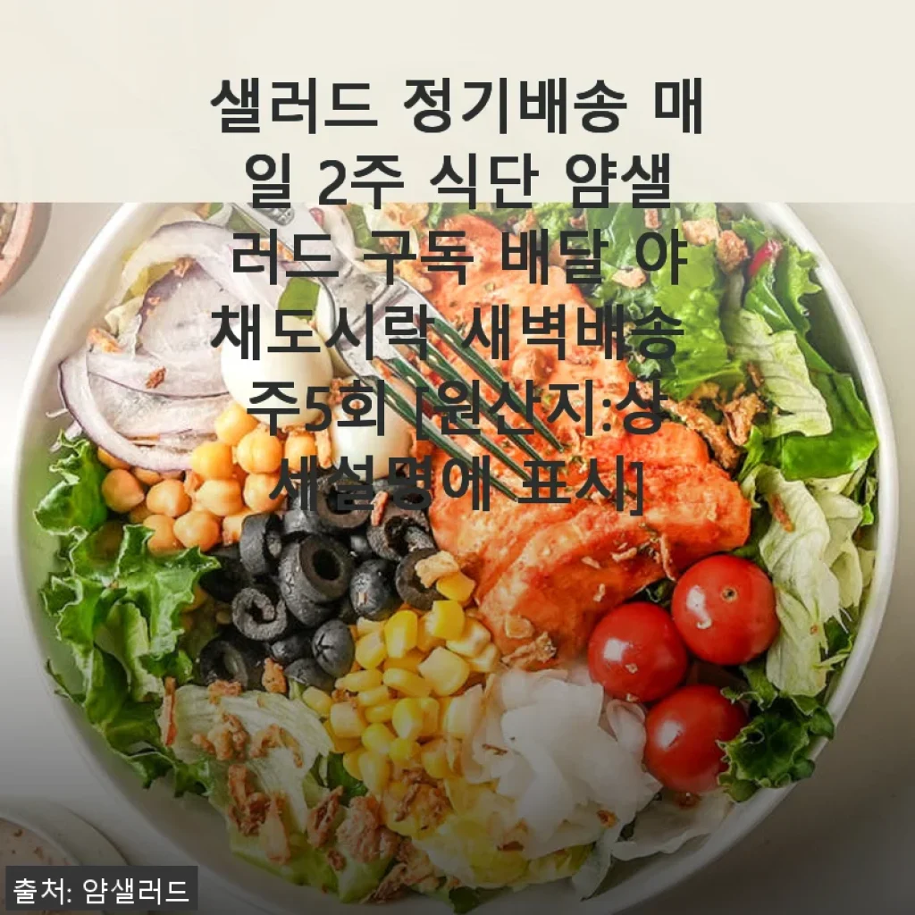 얌샐러드 정기배송 2주 식단 체험 후기: 신선한 야채도시락의 매력