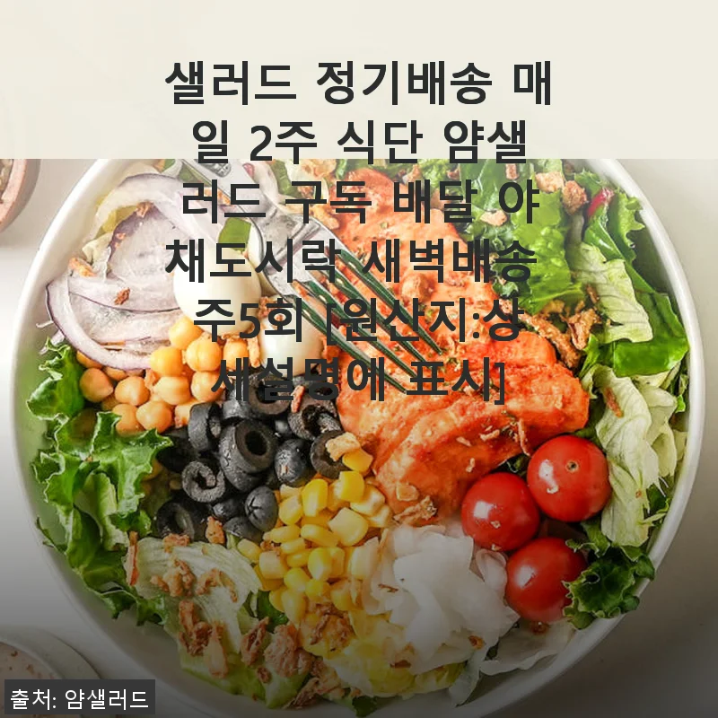 얌샐러드 정기배송 2주 식단 체험 후기: 신선한 야채도시락의 매력