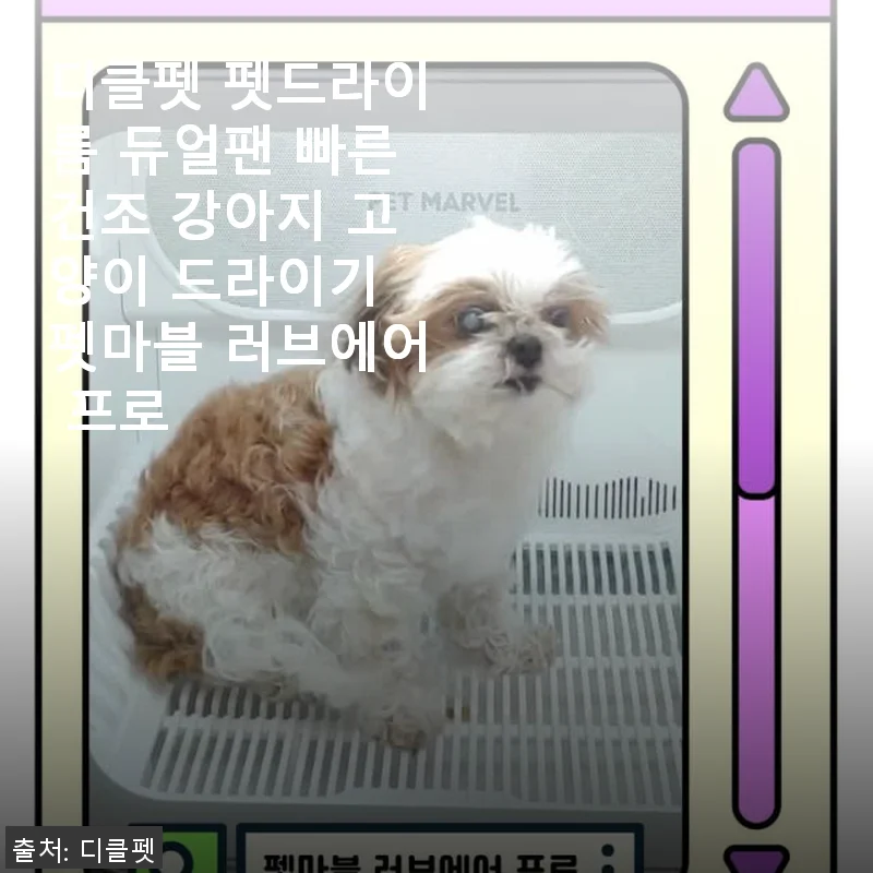 디클펫 펫드라이룸 듀얼팬 빠른건조 러브에어 프로 사용후기