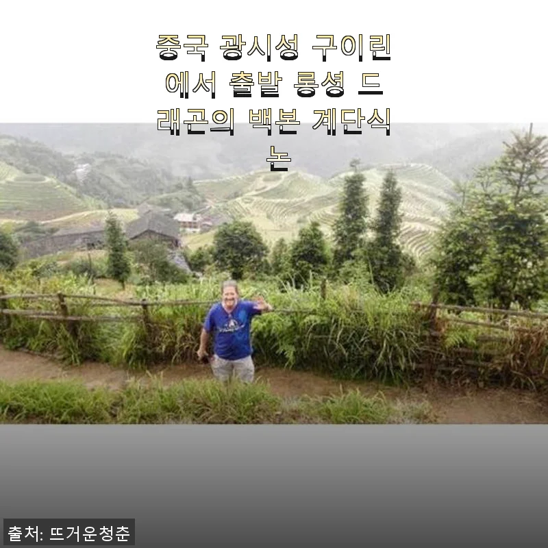 롱셩 드래곤의 백본 계단식 논, 직접 사용해본 생생한 경험담