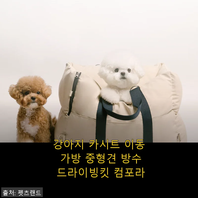 강아지 카시트 이동 가방 중형견 방수 드라이빙킷 컴포라 사용후기