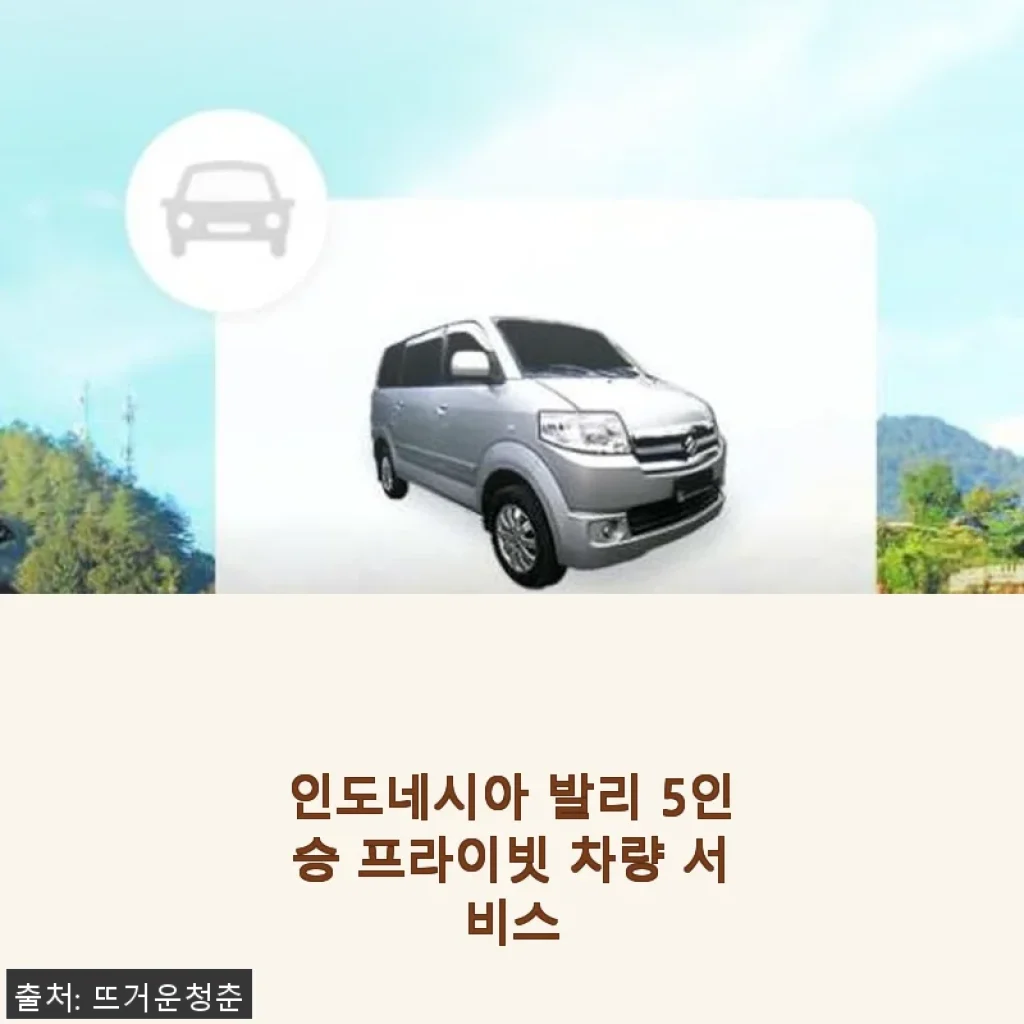 인도네시아 발리 5인승 프라이빗 차량 서비스 사용후기