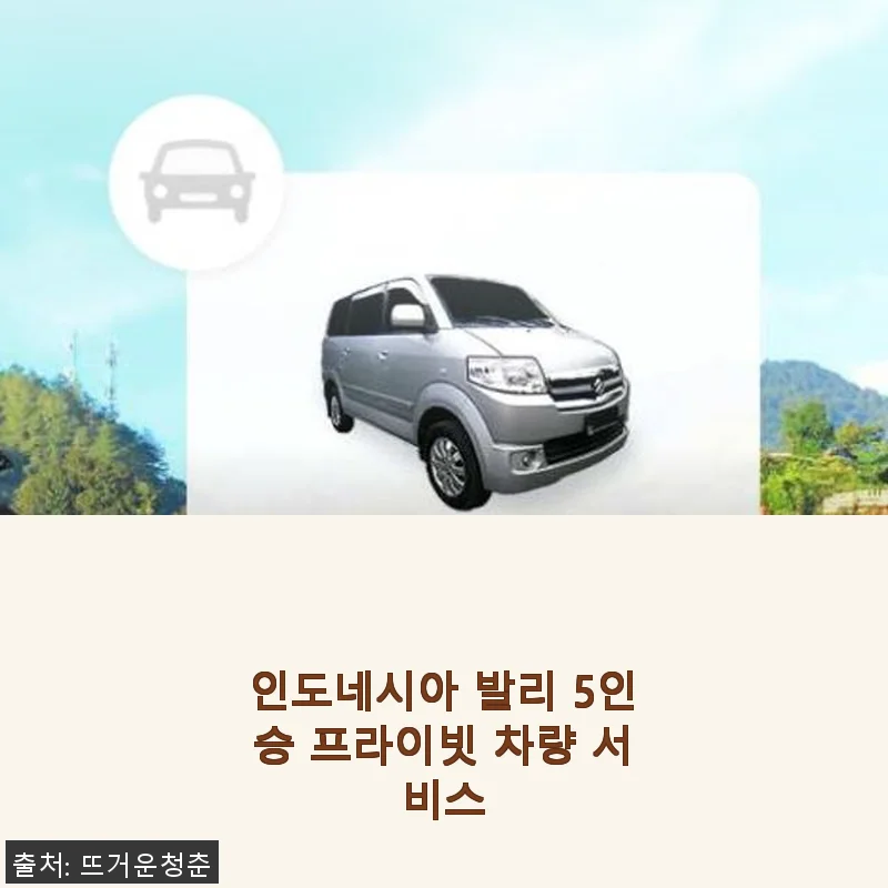 인도네시아 발리 5인승 프라이빗 차량 서비스 사용후기