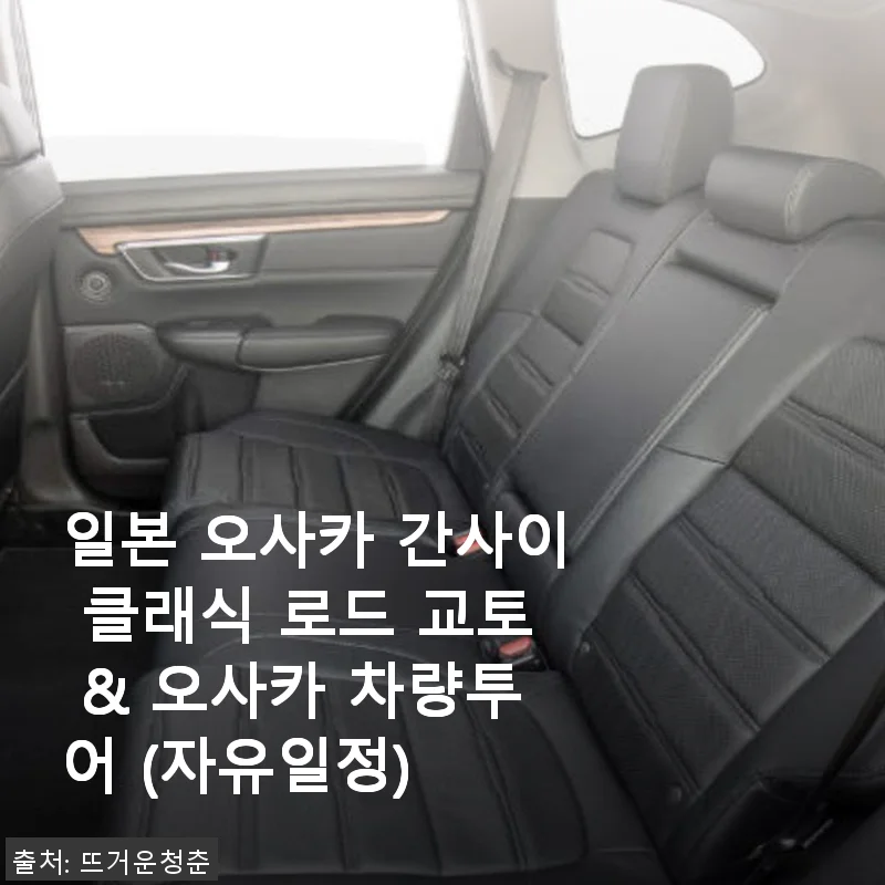 일본 오사카 간사이 클래식 로드 교토 & 오사카 차량투어 사용후기